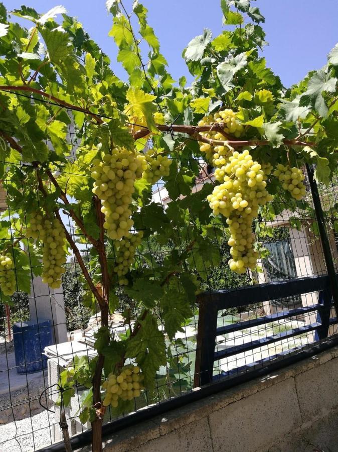 شقة Casa Abola أفولا المظهر الخارجي الصورة